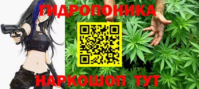 дживик Дубна
